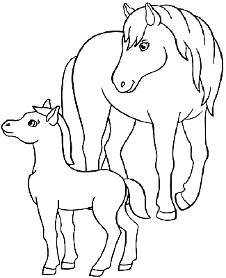 Kolorowanka koń i źrebak